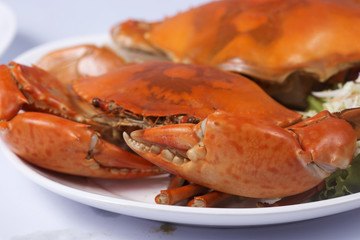 Big steam crab