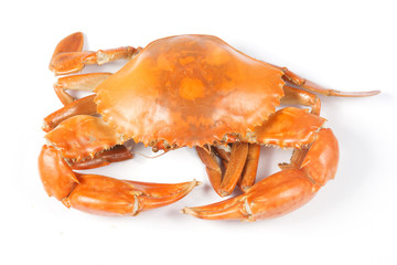 Cooked crab
