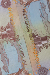 Detail of Arab Emirates Dirham money