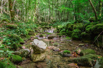 Rio Patok © sandrixroma