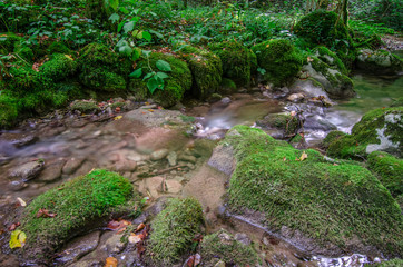 Rio Patok © sandrixroma