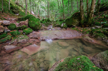 Rio Patok © sandrixroma