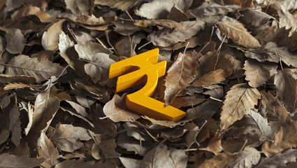 International economy money icon and currency unit on autumn leaves