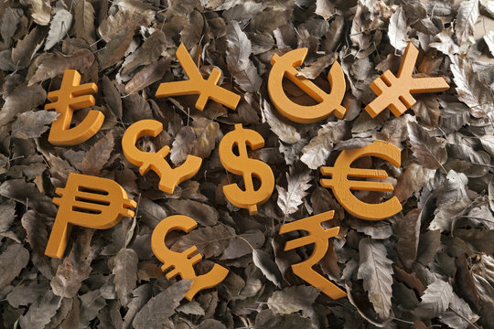 Wooden money icon and currency units on autumn leaves