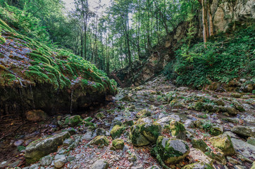 Kot Waterfall © sandrixroma