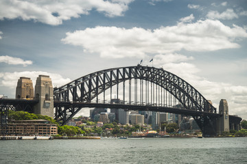Fototapeta premium Sydney Harbour Bridge