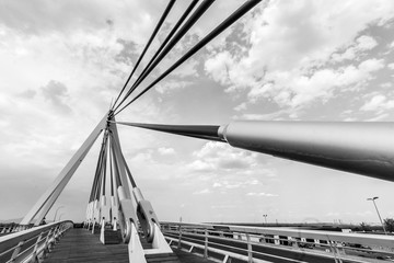 
cable-stayed bridge in black and white