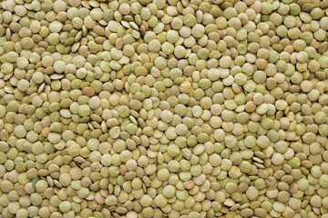 green lentil seeds