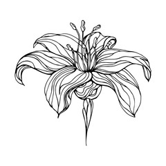monochrome stylized flower