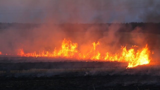 field burning. fire on sloping field