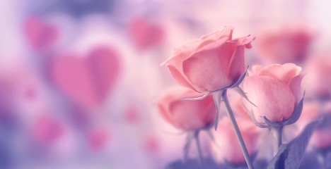 Fototapeta na wymiar Happy valentine's day, fine daisy color tone design, Blur and Select focus background