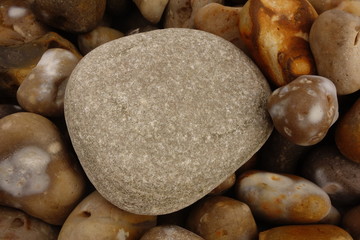 Fototapeta na wymiar Large Pebble