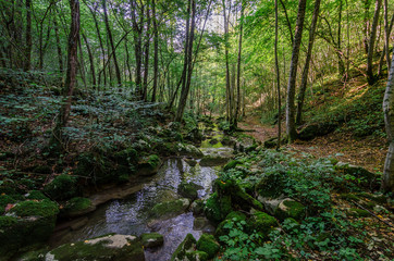 Rio Patok © sandrixroma