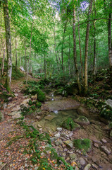 Rio Patok and trail © sandrixroma