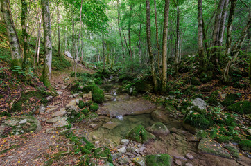 Rio Patok and trail © sandrixroma