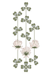 flowers of clover