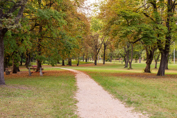 Fototapeta na wymiar Autumn park with road