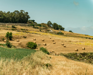 Fototapeta na wymiar country scenery of Mdina