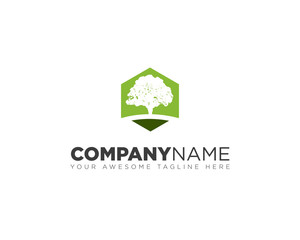 Eco tree logo