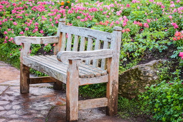 Vintage bench in botanic park. 