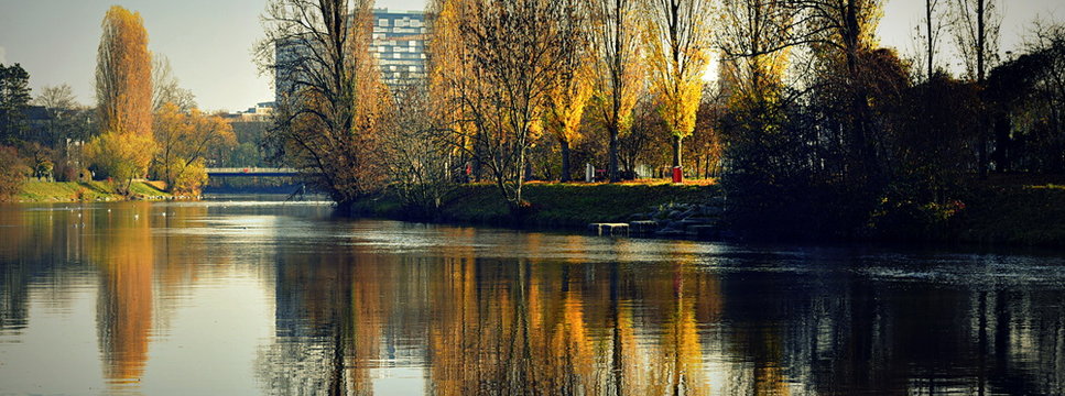 Bordures De La Limmat