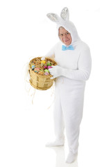 Senior Bunny Displaying His Eggs