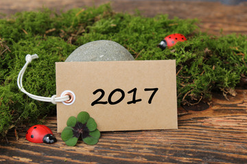 Marienkäfer und vierblättriges Kleeblatt zum Neujahr 2017
