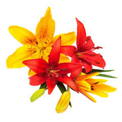 Bouquet of Lilies red and yellow flowers