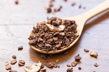 granola in wooden spoon