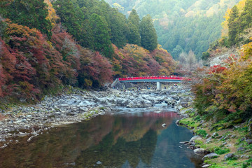 Beautiful autumn at Korankei