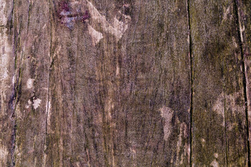 Surface of timber background,wood background.