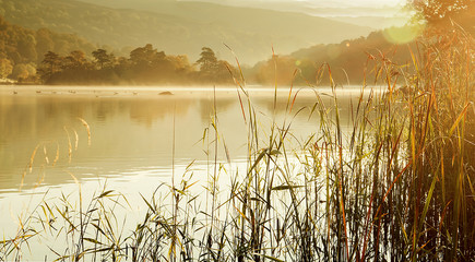 Morning on Rydal Water