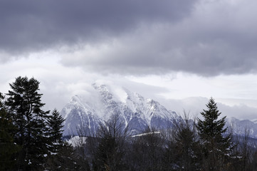 Snow Covered Trees in the Mountains. Winter Landscape.