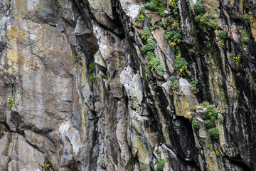Kenai Fjords National Park Alaska ocean and rock