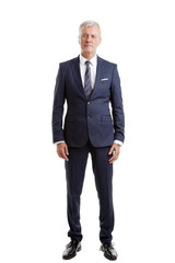 Senior businessman portrait