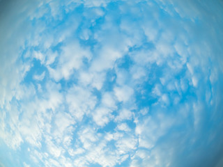 Obraz premium 魚眼の鱗雲