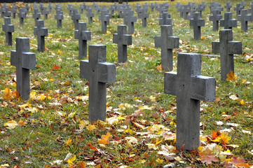 Many gray crosses in a military cemetery in autumn.