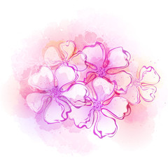 Watercolor spring flower background. Vector illustration