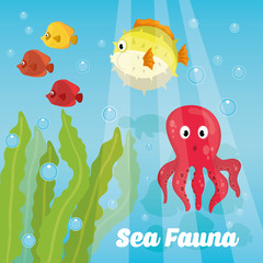 Sea fauna cartoon
