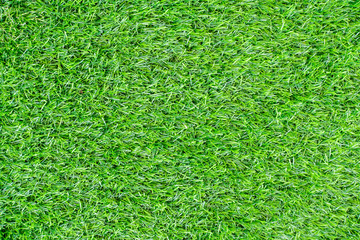 Fototapeta premium Turf grass background