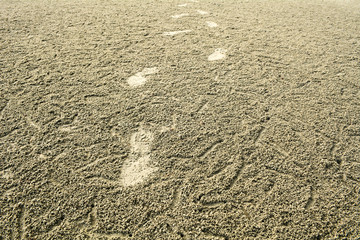 Sand texture. Sandy beach for background