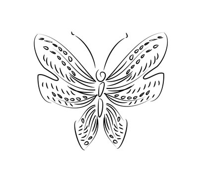 Line art butterfly