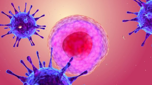 Animated human micro cell , close-up footage