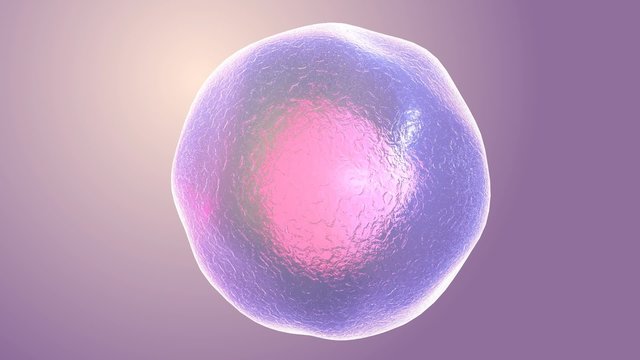     Animated human micro cell , medical, science, biology background 