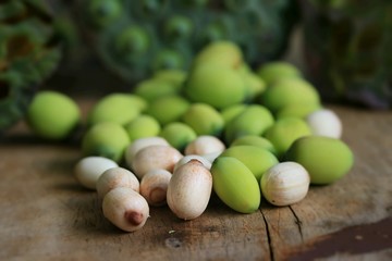 Lotus seed with pod