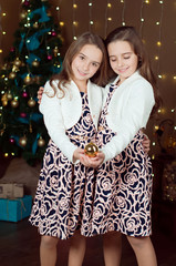 Pretty two sisters are holding christmas decorations  at home ne