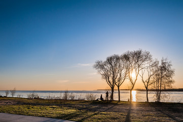 Fototapeta na wymiar Park on the shore of lake at sunset