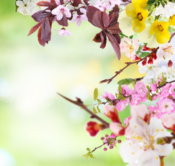 Obraz premium Beautiful abstract natural background with flowers