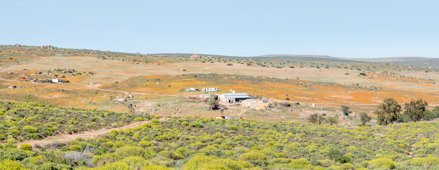 Panorama of a farm in Namaqualand