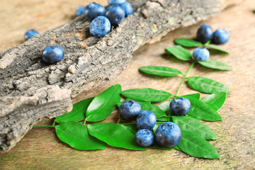 Fresh blueberries with tree on wooden table, closeup